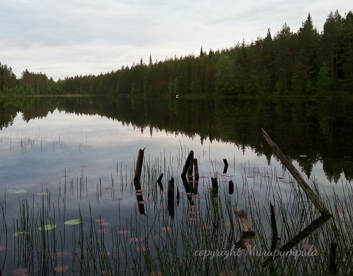 Järvi pieni CR